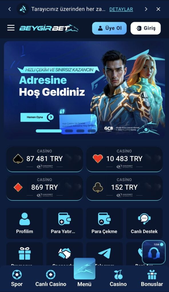 5791907125901593652